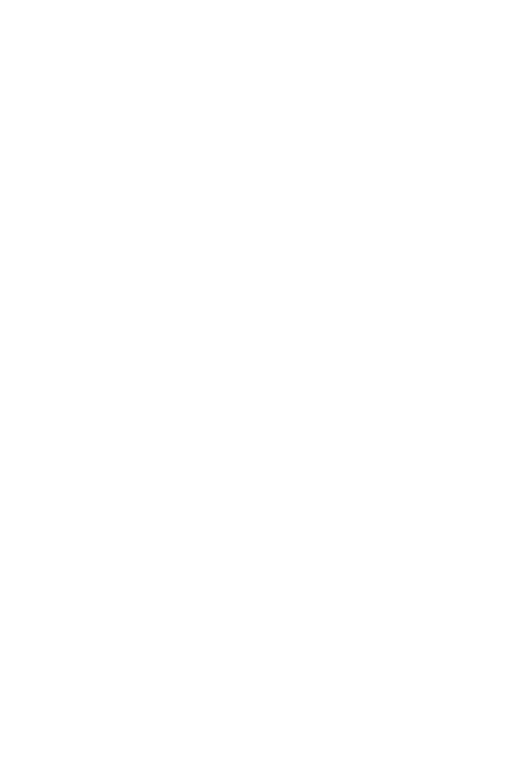 Bügelbild MISTELZWEIG