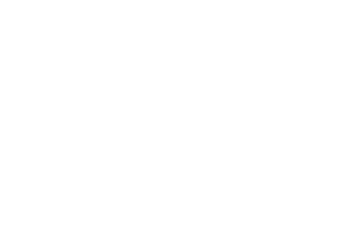 Bügelbild SCHNEEFLOCKEN