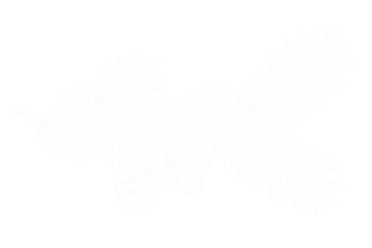 Bügelbild TANNENZWEIG