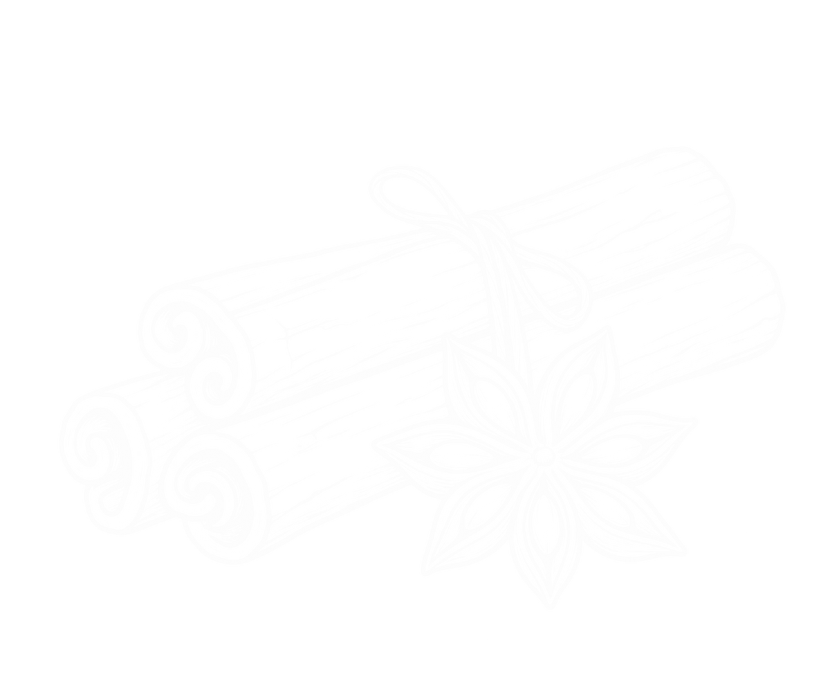 Bügelbild ZIMTSTANGEN