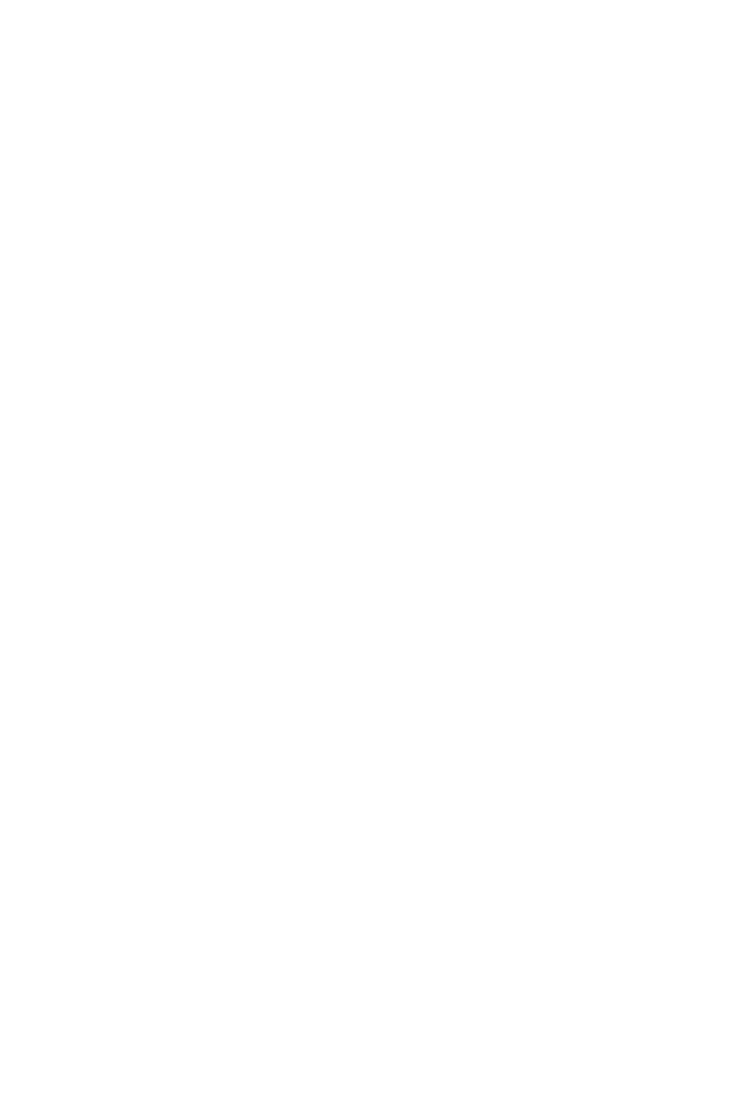 Bügelbild NUSSKNACKER