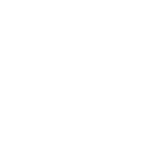 Bügelbild WEIHNACHTSSTERN